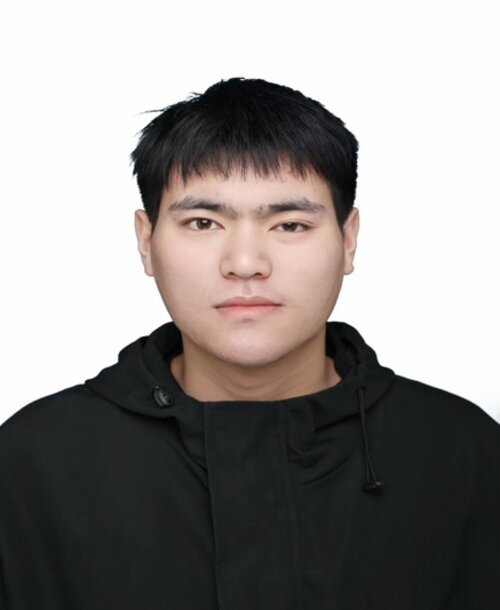 Shuaibing Wang